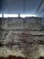 Kruidenrijk paardenhooi kleine balen, Dieren en Toebehoren, Ophalen, Vee