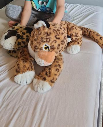 Grote cheetah in goede staat beschikbaar voor biedingen