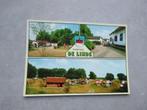 Sibbe-Valkenburg, camping de Linde 1982, Verzenden, Gelopen, Limburg
