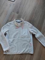 Cecil Teddy Trui Maat L, Kleding | Dames, Overige kleuren, Maat 42/44 (L), Ophalen of Verzenden, Zo goed als nieuw