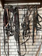 paarden hoofdstellen zie foto’s, Ophalen of Verzenden, Gebruikt, Overige soorten