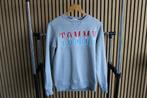 Tommy Hilfiger sweater, Tommy Hilfiger, Ophalen of Verzenden, Zo goed als nieuw, Grijs