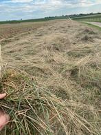 Kleine Hooibalen - Stevig & Goede Kwaliteit, Dieren en Toebehoren, Ophalen of Verzenden