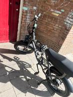 Grijze Knaap, Overige merken, Gebruikt, Ophalen of Verzenden, 51 tot 55 cm