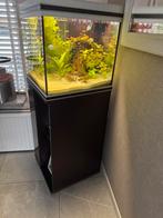 Aquarium zeer netjes Compleet, Dieren en Toebehoren, Vissen | Aquaria en Toebehoren, Ophalen of Verzenden, Gebruikt, Gevuld zoetwateraquarium