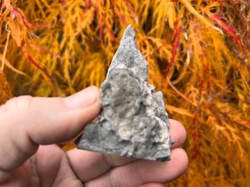 Bonsai Penjing rots ca. 5x4x7,6 beschikbaar voor biedingen