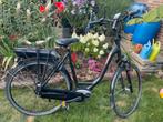 Pegasus elektrisch fiets, Ophalen of Verzenden, Zo goed als nieuw, 50 km per accu of meer, Overige merken