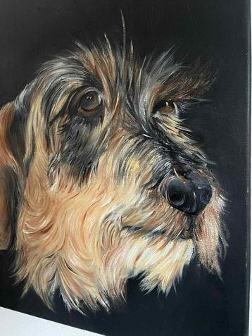 Teckel Portret - Olieverfschilderij beschikbaar voor biedingen