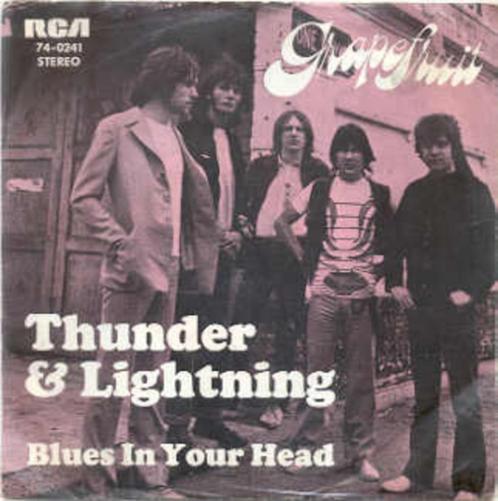 Grapefruit- Thunder and Lightning, Cd's en Dvd's, Vinyl Singles, Zo goed als nieuw, Pop, Verzenden