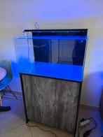 Blue marine 160, Ophalen, Zo goed als nieuw, Leeg aquarium