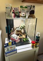 Aquarium Qubiq 30 Pro + accessoires, Dieren en Toebehoren, Vissen | Aquaria en Toebehoren, Ophalen, Gebruikt, Leeg aquarium
