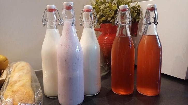 Melkkefir korrels, Diversen, Levensmiddelen, Ophalen of Verzenden