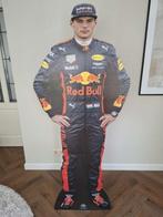 Cardboard Max Verstappen, Ophalen of Verzenden, Nieuw, Formule 1