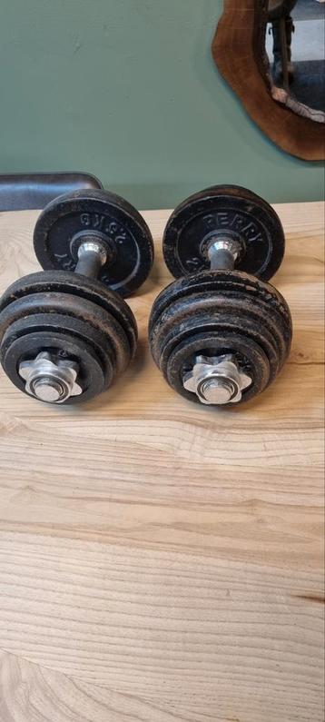 Halters dumbels beschikbaar voor biedingen