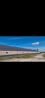 Prefab stal vleesvarkens stal schuur