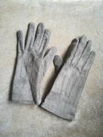 Grijze leren dames handschoenen, Kleding | Dames, Handschoenen, Nieuw, Hema, Ophalen of Verzenden