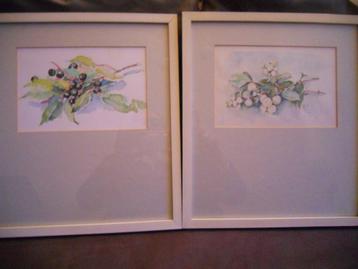 2 Aquarellen in lijst met takjes met bessen. Gesigneerd beschikbaar voor biedingen