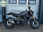 BENELLI LEONCINO 800 (bj 2024), 2 cilinders, Bedrijf, Naked bike, Meer dan 35 kW