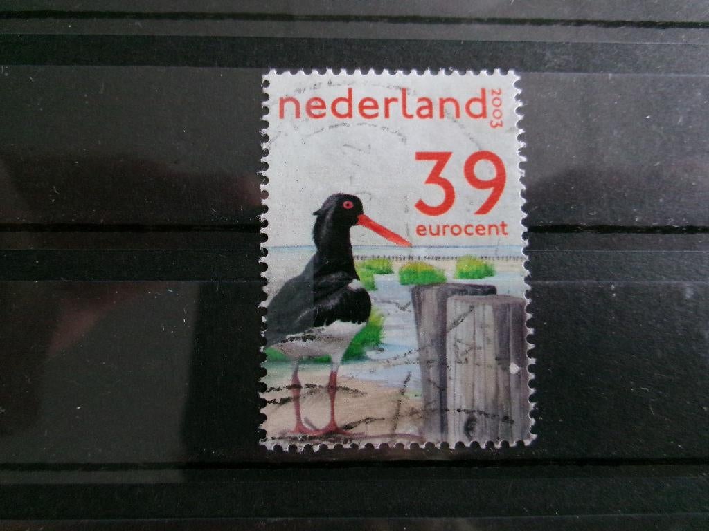 2003 - scholekster (171h), Verzenden, Gestempeld