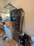Ikea detolf terrarium, Ophalen, Gebruikt, Terrarium of Paludarium