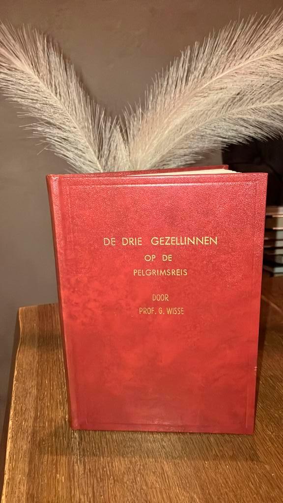 KR-1 Prof G Wisse De drie gezellinnen op de pelgrimsreis, Boeken, Godsdienst en Theologie, Gelezen, Ophalen of Verzenden