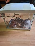 Superfish Aquarium Start 20 Goldfish Kit Led 16 l- Wit, Ophalen, Gebruikt, Leeg aquarium