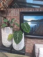 2 houten bloempotten/ vazen, Huis en Inrichting, Woonaccessoires | Vazen, Ophalen, Overige materialen, Overige kleuren, 50 tot 75 cm