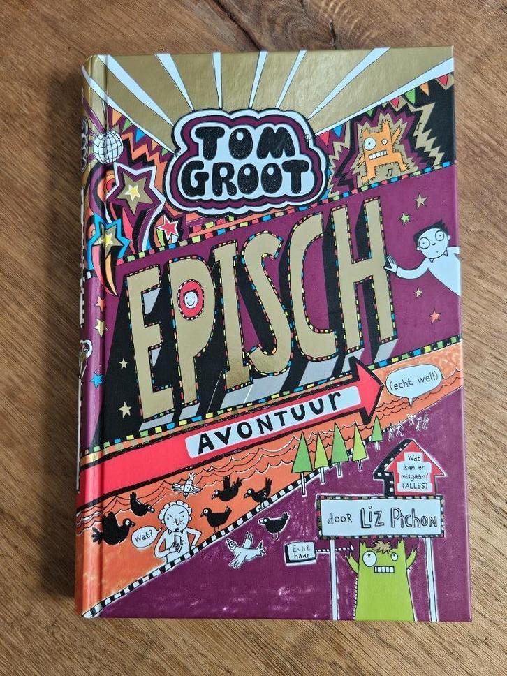 jeugdboek Tom Groot Episch avontuur zgan, Boeken, Kinderboeken | Jeugd | 10 tot 12 jaar, Zo goed als nieuw, Ophalen of Verzenden