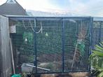 Voliere, Dieren en Toebehoren, Vogels | Hokken en Kooien, Ophalen of Verzenden, Gebruikt, Metaal, Volière