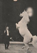 Retro reclame 1956 Circus Krone kamelen in de regen, Verzamelen, Verzenden, Overige typen