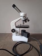 Microscoop van Euromex, Ophalen of Verzenden, Gebruikt, Minder dan 400x, Biologische microscoop