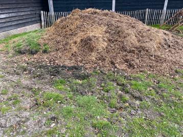 Overjarig paardenmest, gratis beschikbaar voor biedingen