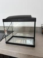 Leuk aquarium, Dieren en Toebehoren, Vissen | Aquaria en Toebehoren, Ophalen of Verzenden, Leeg aquarium