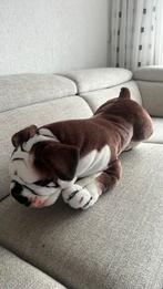 Hond, Ophalen of Verzenden