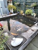 Vijver, Tuin en Terras, Ophalen, Gebruikt, Vijverfilter