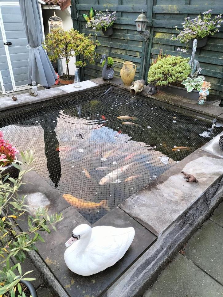 Vijver, Tuin en Terras, Vijver-toebehoren, Gebruikt, Vijverfilter, Ophalen