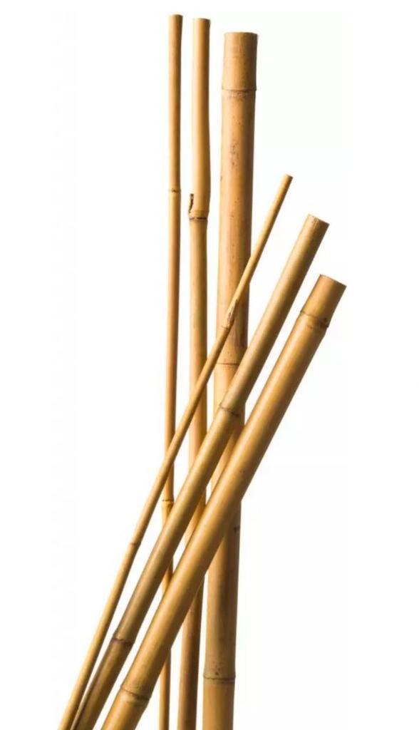 GEZOCHT!!! Bamboestokken, Tuin en Terras, Kweekspullen, Ophalen