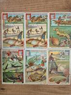 Liebig kaart - Poissons de Mer S 774 - 1903, Ophalen, Voor 1920, Ongelopen, Overige thema's