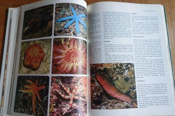 de wonderlijke natuur - het leven onder de zeespiegel € 5,00 beschikbaar voor biedingen