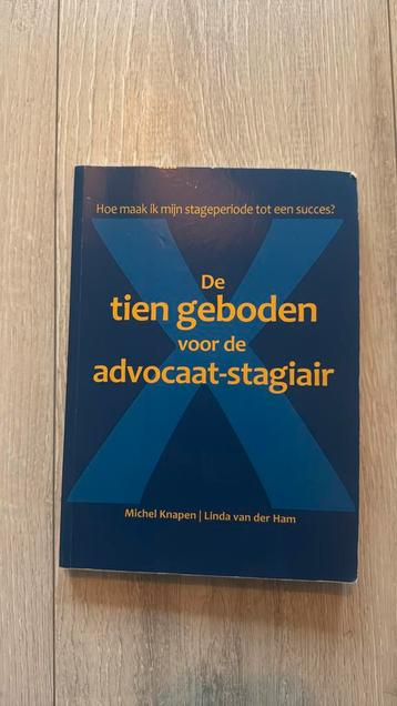 Michel Knapen - De tien geboden voor de advocaat-stagiair beschikbaar voor biedingen