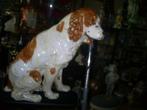 grote  hond, Ophalen