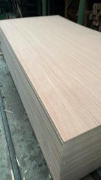 Hardhout multiplex 122x244 dikte 9 mm, Doe-het-zelf en Verbouw, Platen en Panelen, Ophalen, Zo goed als nieuw, Multiplex