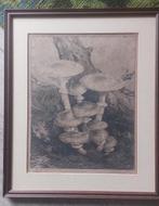 Jan Voerman junior grafisch werk, Antiek en Kunst, Kunst | Litho's en Zeefdrukken, Ophalen of Verzenden