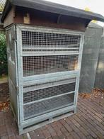 Konijne of vogelhok, Meerdere dieren, Postduif