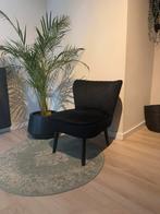 Zwart Velvet Fauteuil, Ophalen, Zo goed als nieuw, 75 tot 100 cm, 50 tot 75 cm
