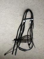 Leren Hoofdstel. Wit onderlegd. Full. Nieuw., Dieren en Toebehoren, Paarden en Pony's | Hoofdstellen en Tuigage, Ophalen of Verzenden