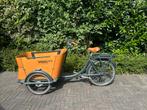 Babboe E-Curve met tent en peuterzitje, Fietsen en Brommers, Fietsen | Bakfietsen, Ophalen, Zo goed als nieuw, 4 kinderen of meer