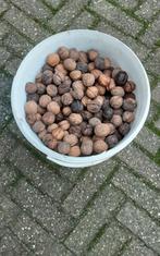 Walnoten vers 4 kilo 2,50 per kilo, Ophalen
