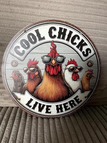 Cool Chicks metalen rond wandbord (Old Look) beschikbaar voor biedingen