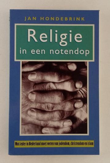 Hondebrink, Jan - Religie in een notendop beschikbaar voor biedingen